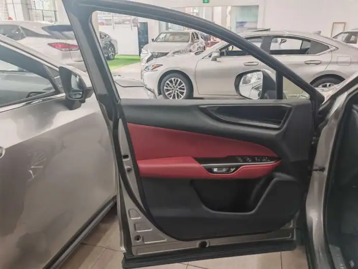Lexus NX 2022 Model 260 Qian Drive Innovation Drive Edition – фото 10