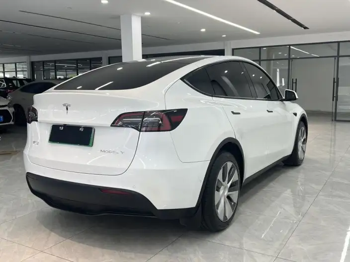 Model Y 2022 Model Long Battery Life Pro All-wheel drive version – фото 5
