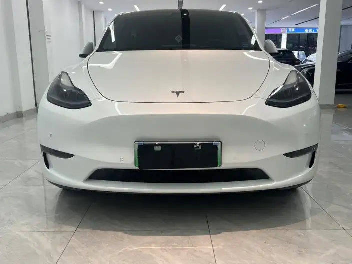 Model Y 2022 Model Long Battery Life Pro All-wheel drive version – фото 7