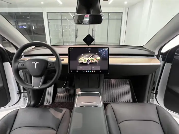 Model Y 2022 Model Long Battery Life Pro All-wheel drive version – фото 9