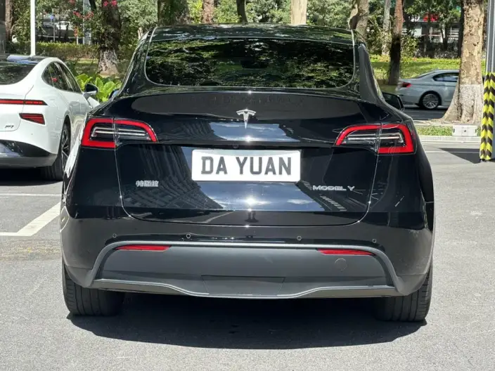 Model Y 2023 Model Long Battery Life Pro All-wheel drive version – фото 6