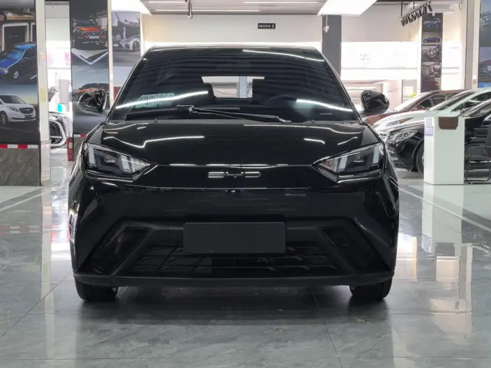 BYD Seagull 2023 Model Free Edition