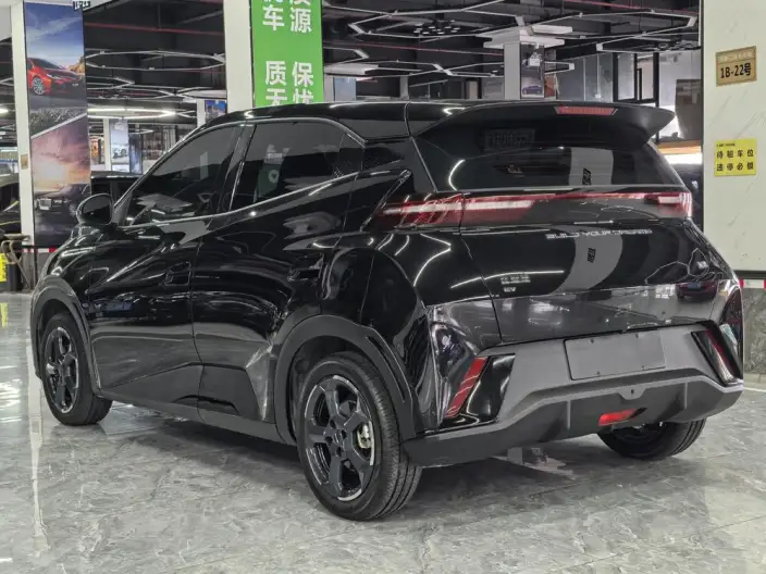 BYD Seagull 2023 Model Free Edition – фото 5