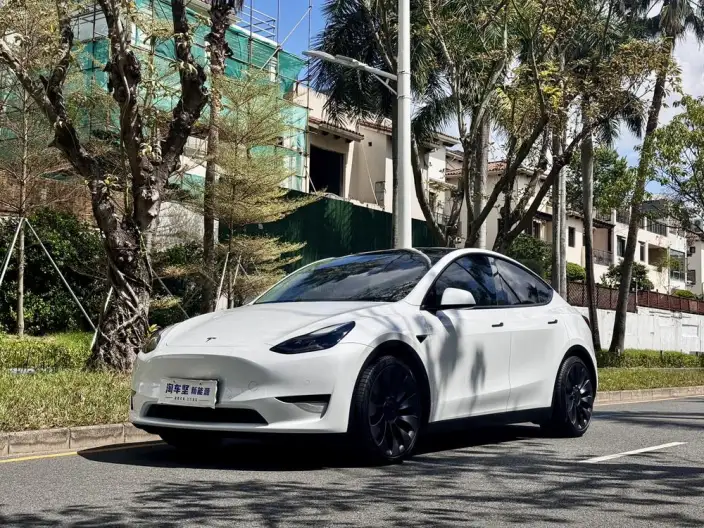 Model Y 2023 Model Performance High performance All-wheel drive version