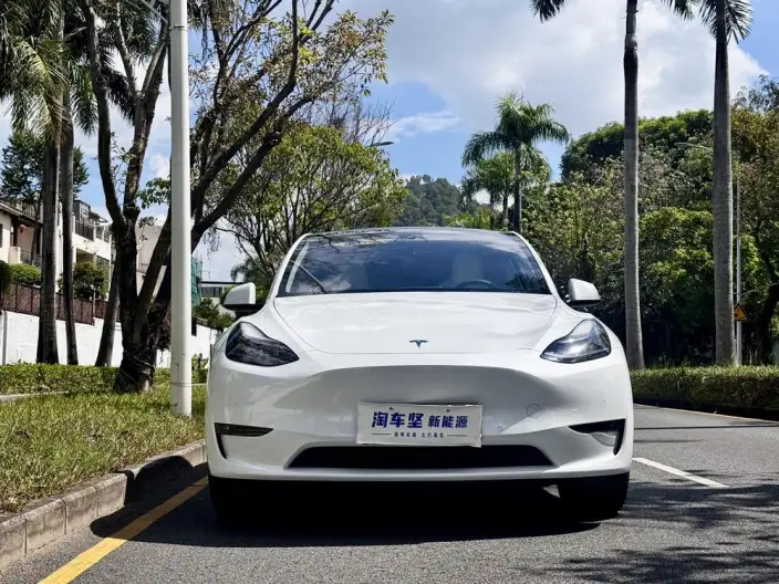 Model Y 2023 Model Performance High performance All-wheel drive version
