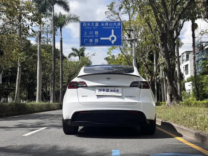 Model Y 2023 Model Performance High performance All-wheel drive version – фото 5