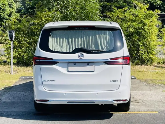 Buick GL8 2021 Model Business class 652T Comfort Model – фото 5