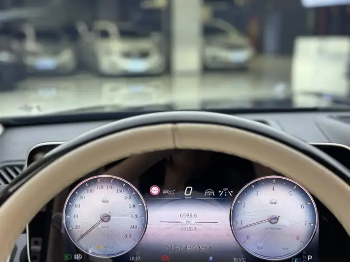 Mercedes-Maybach S-Class 2022 Model S 480 4MATIC Zhizhen Special Edition – фото 8