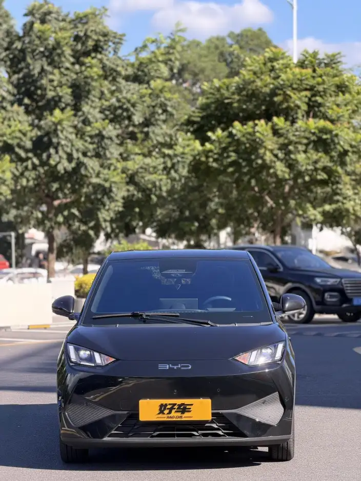 BYD Seagull 2025 Model Smart Driving Edition 305KM Free Edition