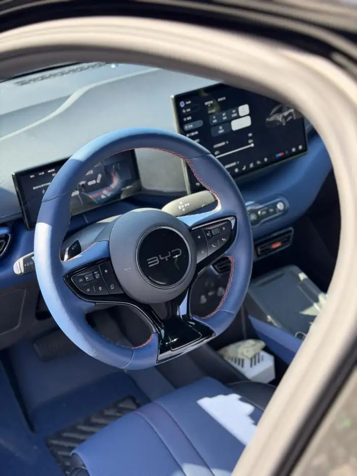 BYD Seagull 2025 Model Smart Driving Edition 305KM Free Edition – фото 6