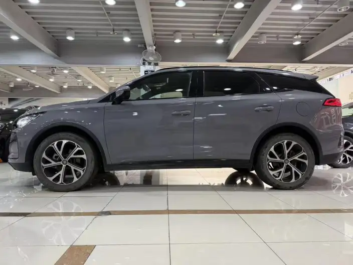 BYD Tang DM 2025 Model DM-i 115KM Zunrong Model
