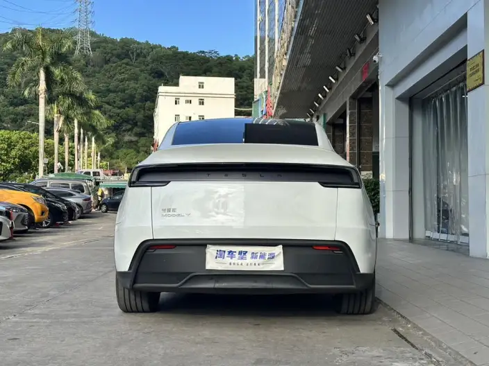 Model Y 2025 Model Rear-wheel drive version – фото 5