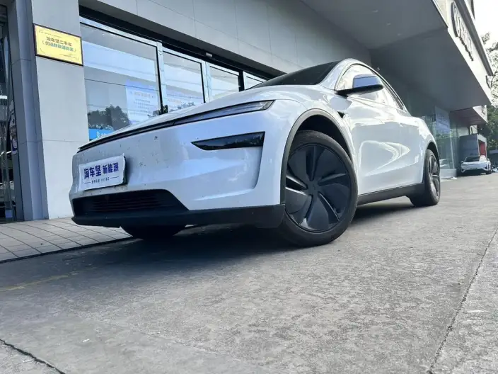 Model Y 2025 Model Rear-wheel drive version – фото 8