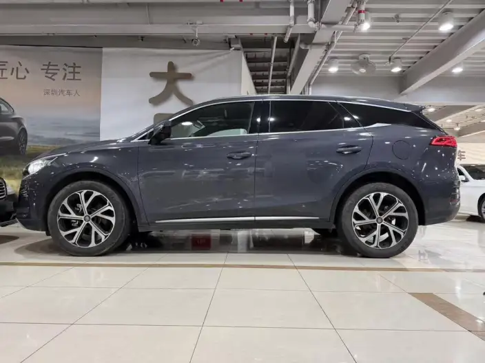 BYD Tang DM 2025 Model DM-i 115KM Zunrong Model
