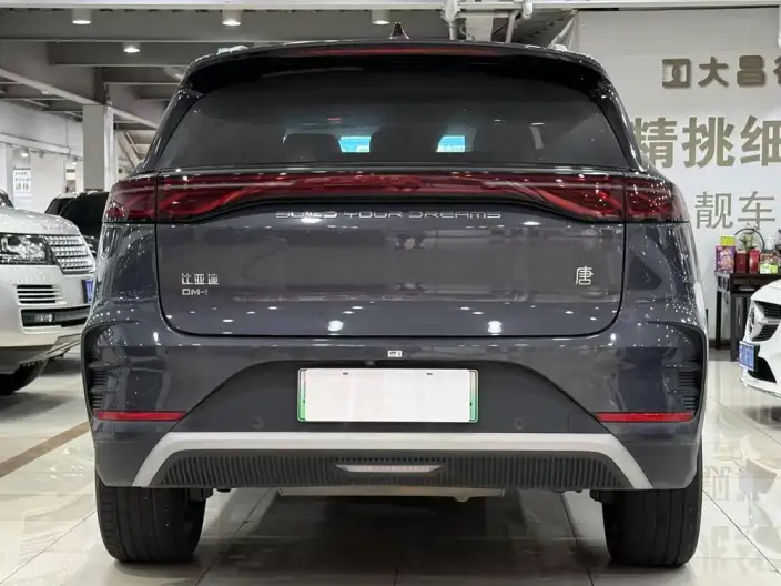 BYD Tang DM 2025 Model DM-i 115KM Zunrong Model – фото 6