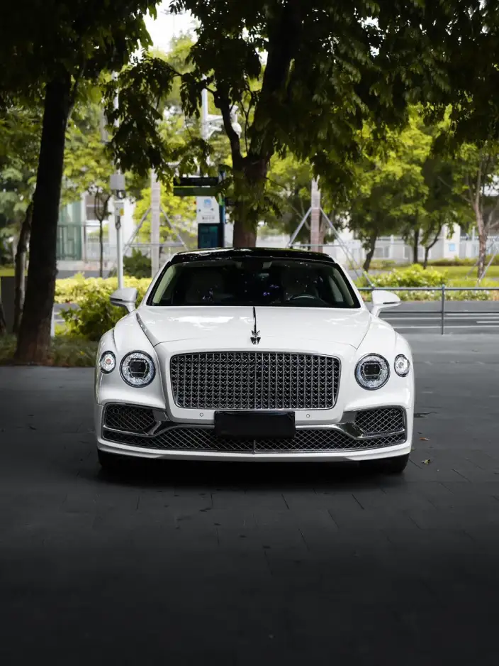 Continental Flying Spur 2022 Model 4.0T V8 Standard Edition – фото 2