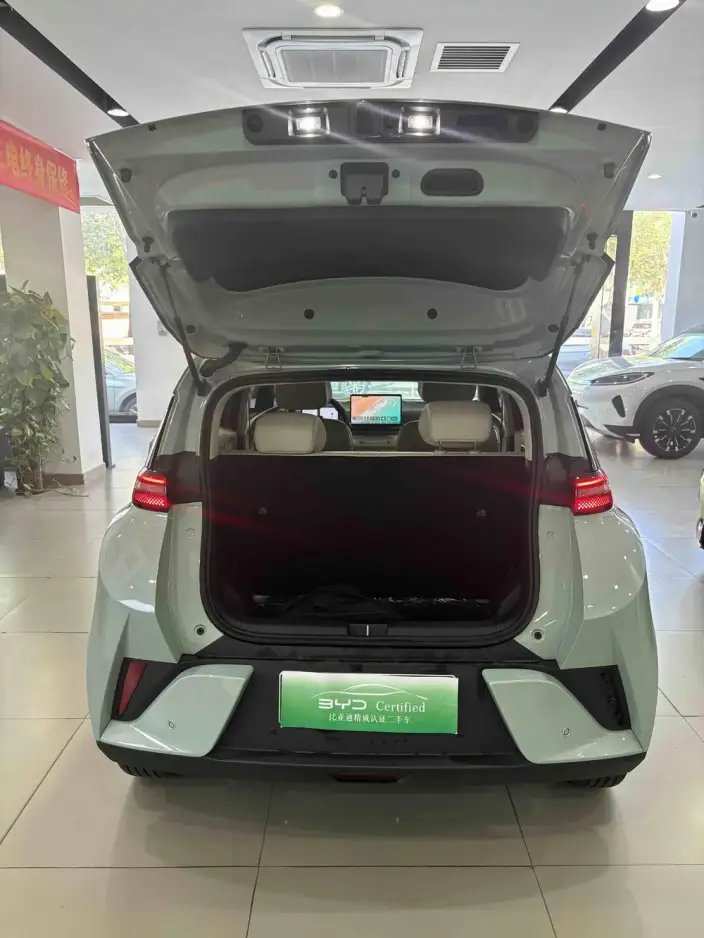 BYD Seagull 2026 Model Free Edition – фото 6