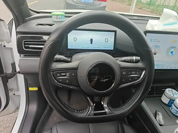 BYD Seal 06 DM 2024 Model DM-i 80KM Noble Model – фото 7