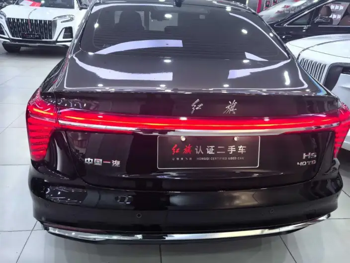 Hongqi H5 2025 Model 2.0T Automatic Flag Enjoy Edition – фото 5