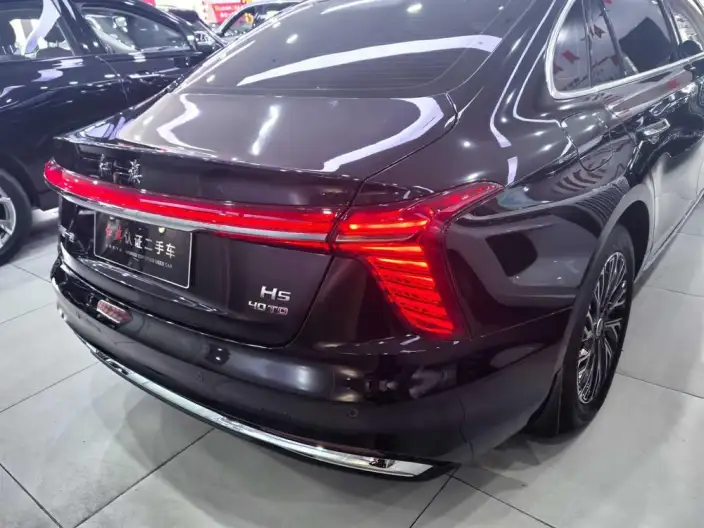 Hongqi H5 2025 Model 2.0T Automatic Flag Enjoy Edition – фото 6