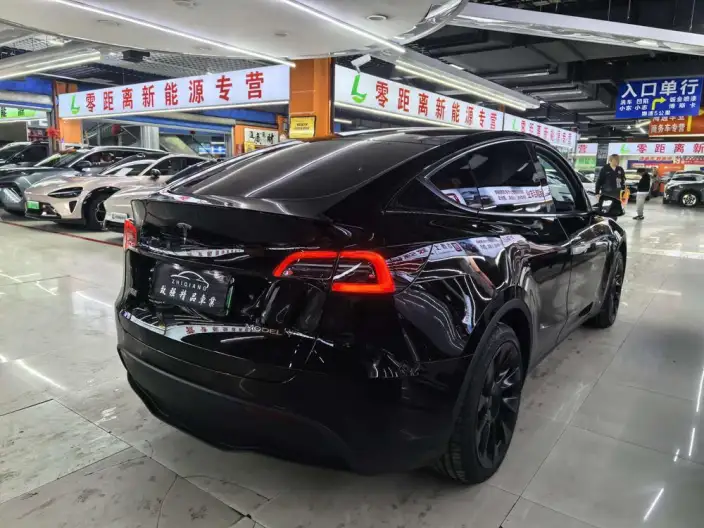 Model Y 2022 Model Facelift Long Battery Life Pro All-wheel drive version – фото 6
