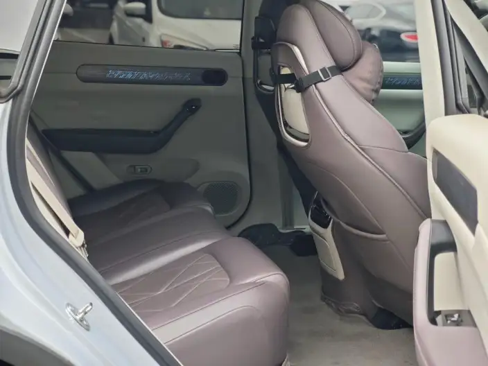 Leapmotor C11 2024 Model EV Edition 580 Exclusive Edition – фото 7