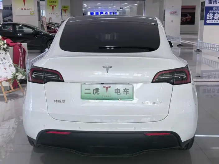 Model Y 2023 Model Rear-wheel drive version – фото 5