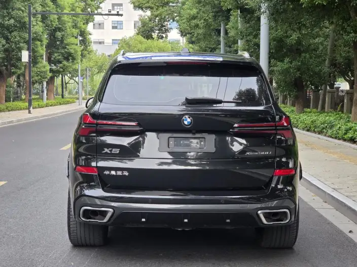 BMW X5 2025 Model xDrive30Li Exclusive Model M Sports Night Set – фото 6