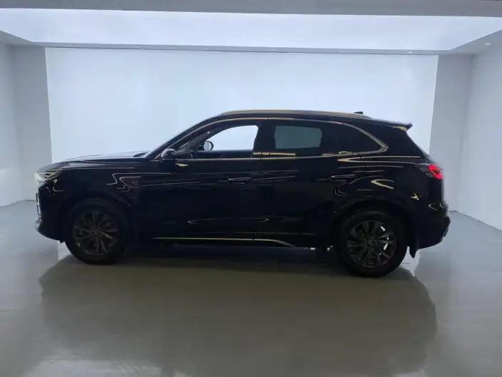 Hongqi HS5 2023 Model 2.0T Flag Xiang Pro Edition