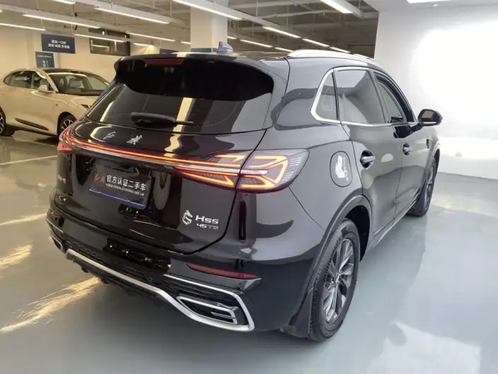 Hongqi HS5 2023 Model 2.0T Flag Xiang Pro Edition – фото 7