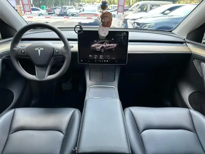 Model Y 2022 Model Rear-wheel drive version – фото 6