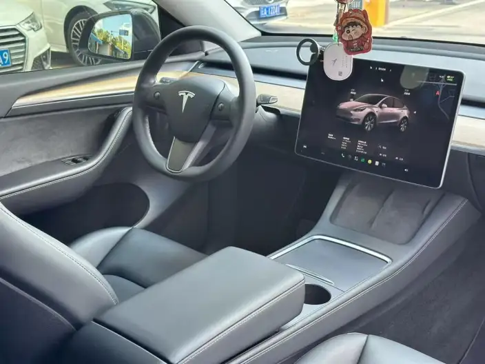 Model Y 2022 Model Rear-wheel drive version – фото 7