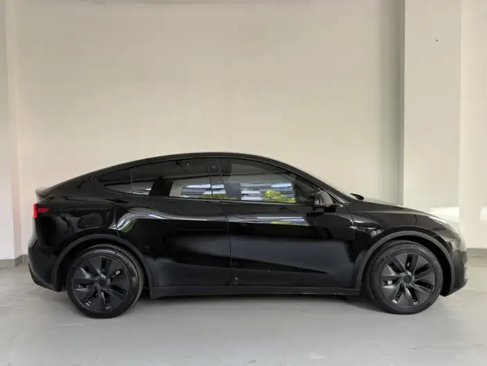 Model Y 2023 Model Long Battery Life Pro All-wheel drive version – фото 6