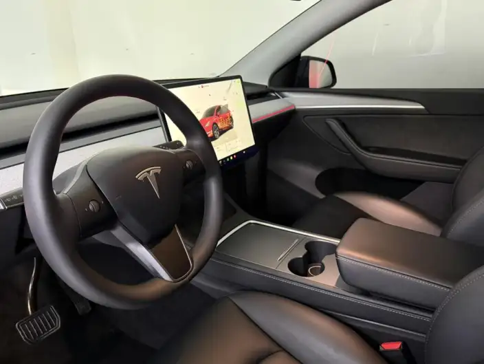 Model Y 2023 Model Long Battery Life Pro All-wheel drive version – фото 9