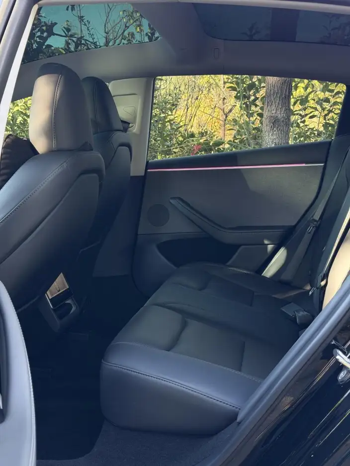 Model 3 2023 Model Rear-wheel drive version – фото 10