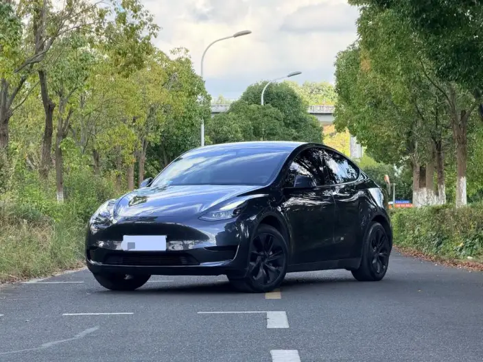Model Y 2024 Model Rear-wheel drive version