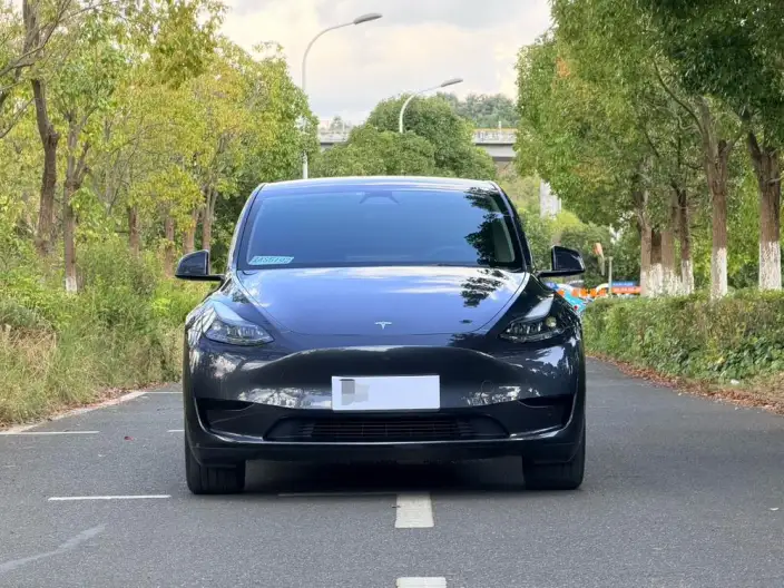 Model Y 2024 Model Rear-wheel drive version