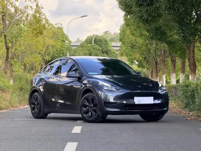 Model Y 2024 Model Rear-wheel drive version