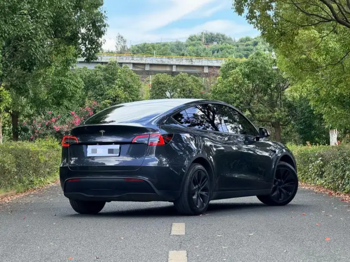 Model Y 2024 Model Rear-wheel drive version – фото 6