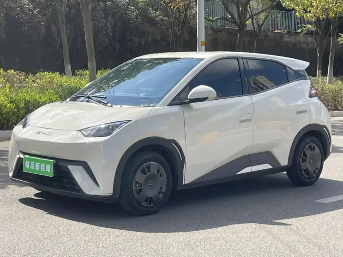 BYD Seagull 2025 Model 305KM Vitality Edition