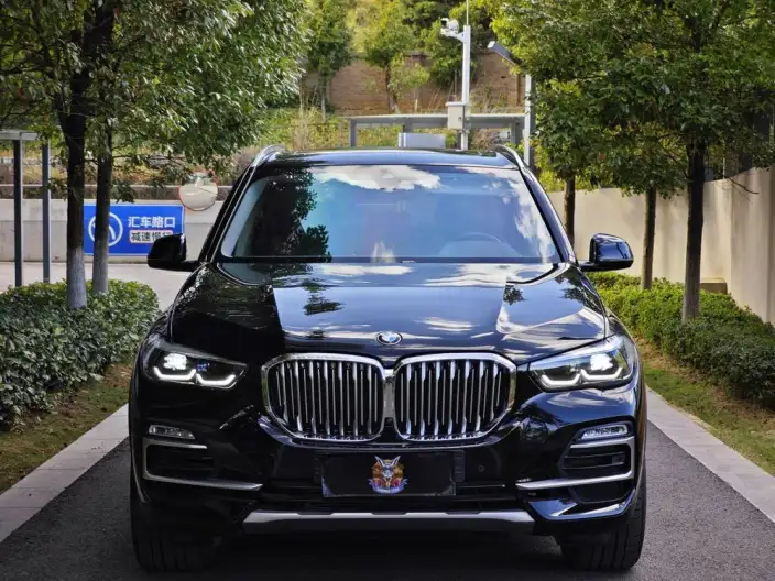 BMW X5 Imported 2020 Model 3.0T Automatic 4WD 5 seat Parallel Imported