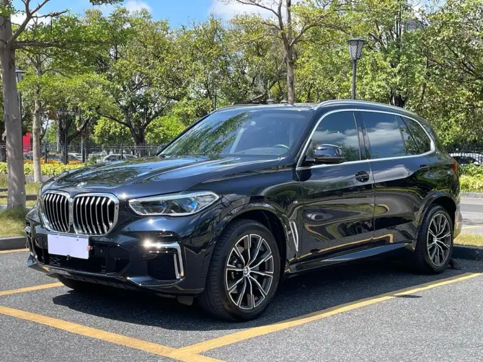 BMW X5 2022 Model xDrive 30Li Exclusive Model M Sports Set