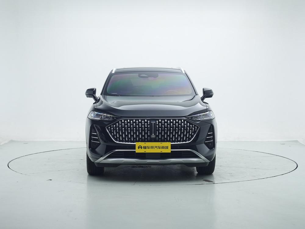 Mocha Модель 2021 года 2.0T 2WD Strong Edition – фото 2