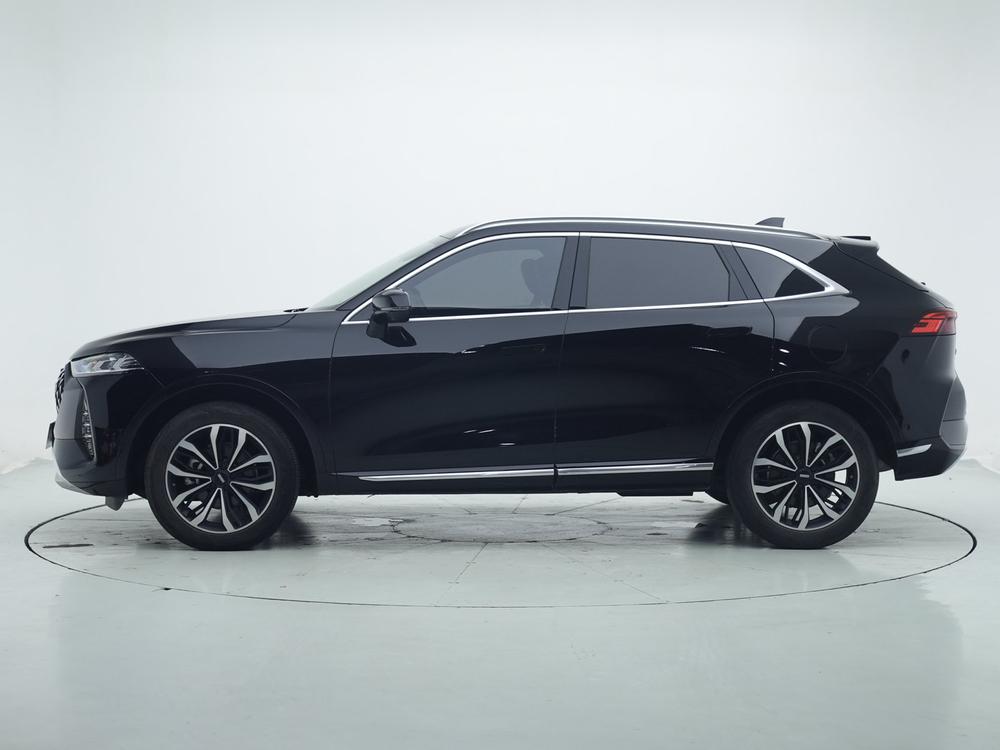 Mocha Модель 2021 года 2.0T 2WD Strong Edition – фото 4
