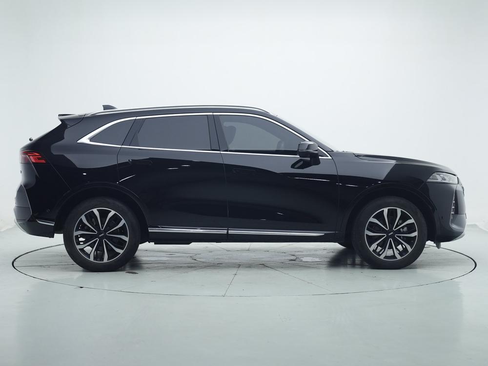 Mocha Модель 2021 года 2.0T 2WD Strong Edition – фото 8