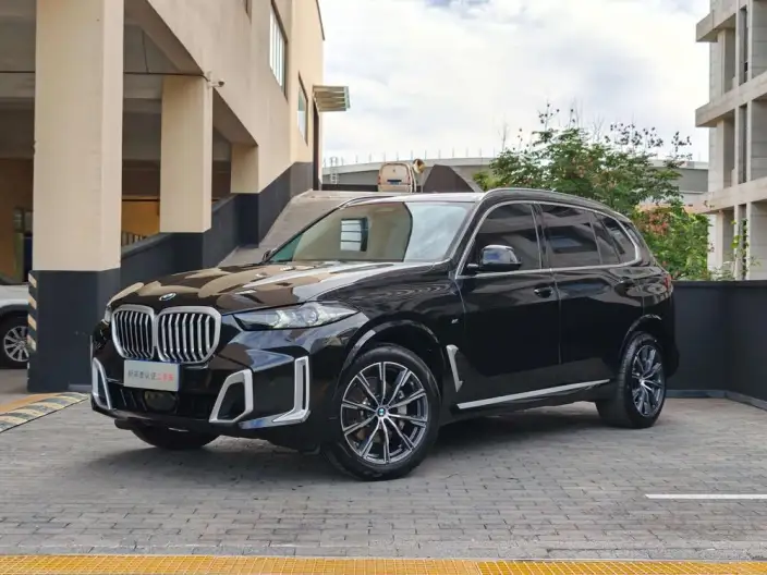 BMW X5 2023 Model xDrive30Li M Sports Set – фото 1