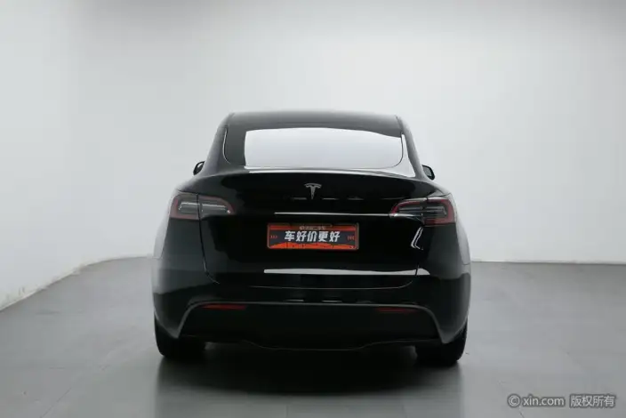 Model Y 2022 Model Rear-wheel drive version – фото 3