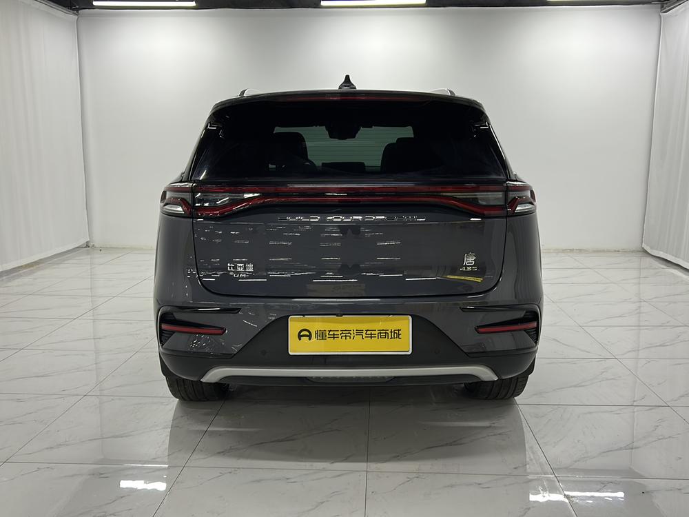 Tang DM 2021 DM 2.0T AWD High-Performance Founder's Flagship – фото 6