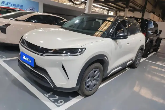 Yuan UP 2025 Model 301KM Pilot Model – фото 1