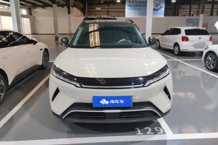 Yuan UP 2025 Model 301KM Pilot Model – фото 2